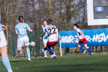 Bild 94 - F Hamburger SV 3 - Blau-Weiss 96 : Ergebnis: 5:1